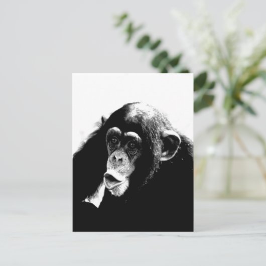 Zwarte witte chimpansee briefkaart (Staand voorkant)