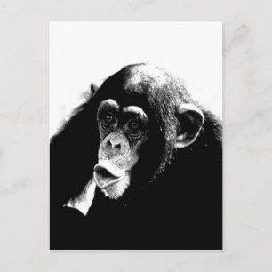 Zwarte witte chimpansee briefkaart