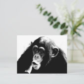 Zwarte witte chimpansee briefkaart (Staand voorkant)
