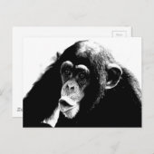 Zwarte witte chimpansee briefkaart (Voorkant / Achterkant)