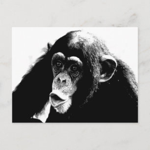 Zwarte witte chimpansee briefkaart