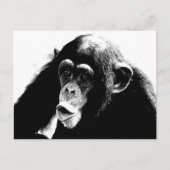 Zwarte witte chimpansee briefkaart (Voorkant)