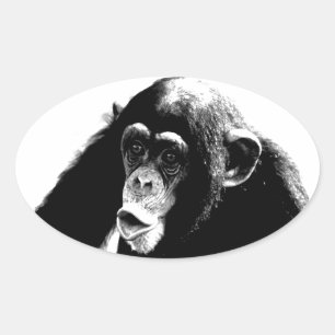 Zwarte witte chimpansee ovale sticker