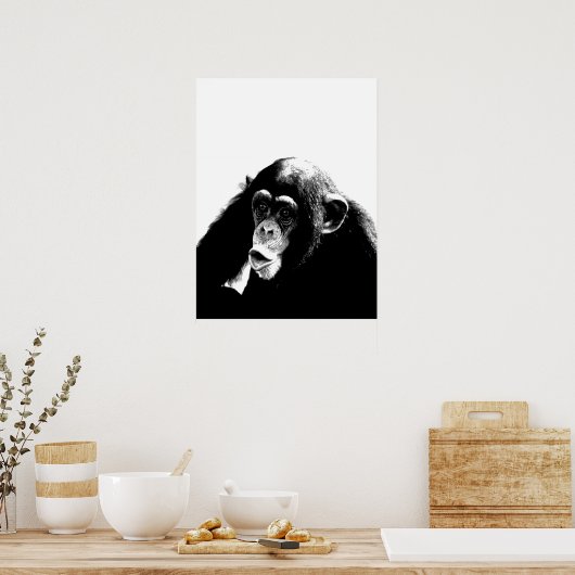 Zwarte witte chimpansee poster (Keuken)
