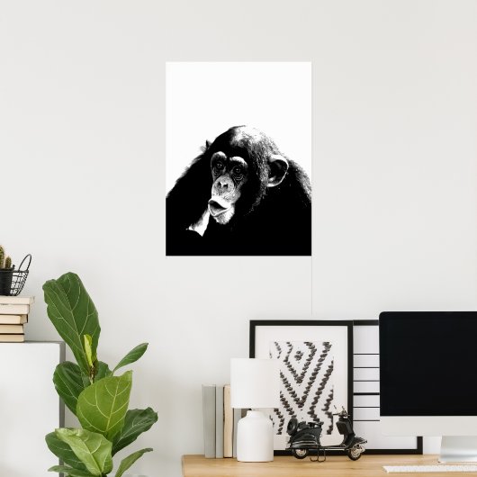 Zwarte witte chimpansee poster (Thuiskantoor)