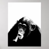 Zwarte witte chimpansee poster (Voorkant)