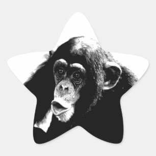 Zwarte witte chimpansee ster sticker