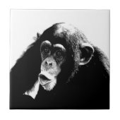 Zwarte witte chimpansee tegeltje (Voorkant)