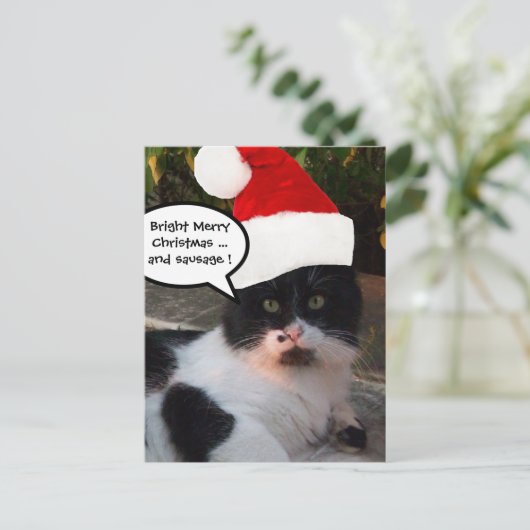 ZWARTE WITTE CHRISTMAS CAT MET SANTA CLAUS PET FEESTDAGENKAART (Staand voorkant)