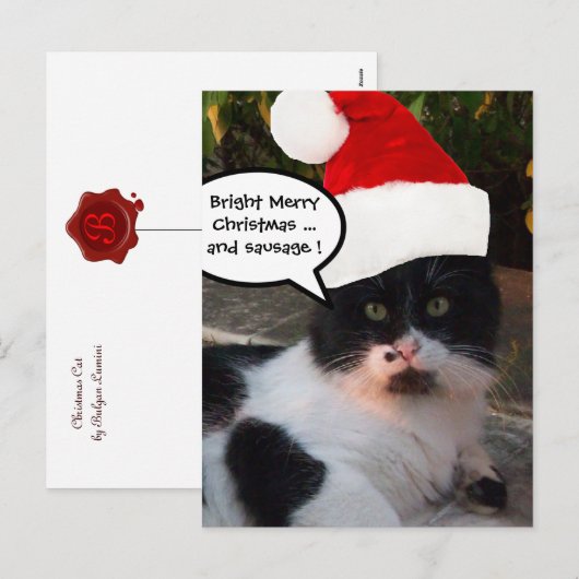 ZWARTE WITTE CHRISTMAS CAT MET SANTA CLAUS PET FEESTDAGENKAART (Voorkant / Achterkant)