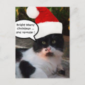 ZWARTE WITTE CHRISTMAS CAT MET SANTA CLAUS PET FEESTDAGENKAART (Voorkant)
