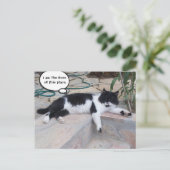 ZWARTE WITTE GROTE TURKSE KAT IN ZIJN GARDEN BRIEFKAART (Staand voorkant)