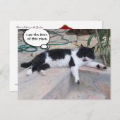 ZWARTE WITTE GROTE TURKSE KAT IN ZIJN GARDEN BRIEFKAART (Voorkant / Achterkant)