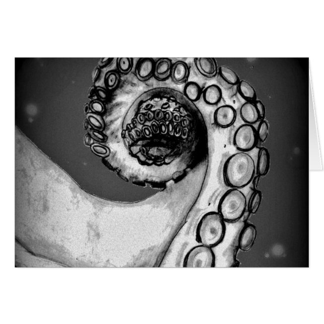  zwarte & witte inktvis (Voorkant Horizontaal)