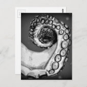  zwarte & witte inktvis briefkaart (Voorkant / Achterkant)