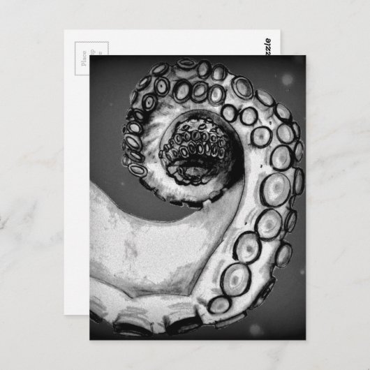 zwarte & witte inktvis briefkaart (Voorkant / Achterkant)