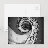  zwarte & witte inktvis briefkaart (Voorkant / Achterkant)