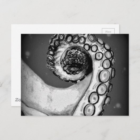 zwarte & witte inktvis briefkaart (Voorkant / Achterkant)