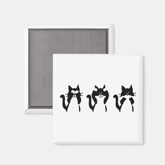 Zwarte witte katten | Drie Katten Magneet (Voorkant / Achterkant)