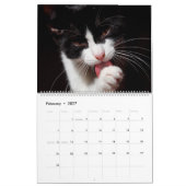 Zwarte & Witte katten & Kittens Kitty Cat 2021 Kalender (Feb 2027)