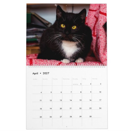 Zwarte & Witte katten & Kittens Kitty Cat 2021 Kalender (Apr 2027)