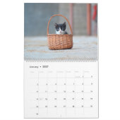 Zwarte & Witte katten & Kittens Kitty Cat 2021 Kalender (Jan 2027)