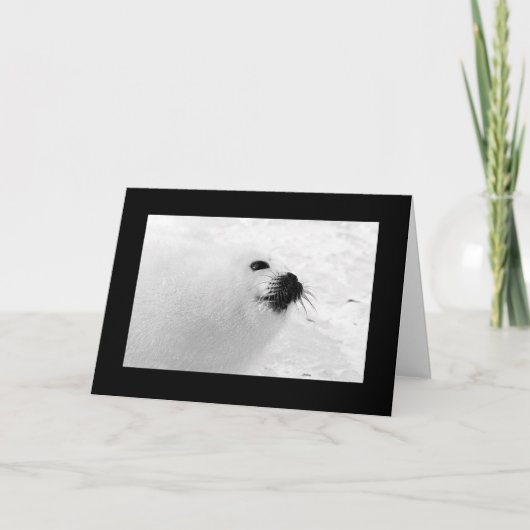 Zwarte witte kerstkaarten | Zwarte witte feestdag Feestdagen Kaart (Voorkant)