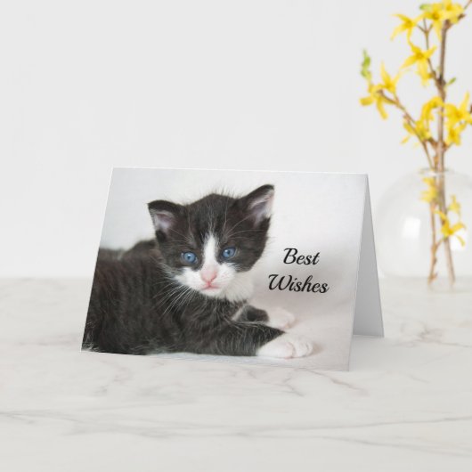 Zwarte witte kitten gefeliciteerd bruiloft kaart (Gele Bloem)