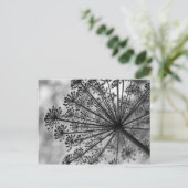 Zwarte & Witte Koningin Anne's Lace Briefkaart (Staand voorkant)