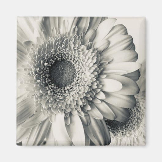 Zwarte witte maisbloem foto magneet (Voorkant)