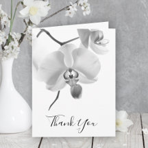 Zwarte witte orchideeën op steel sympathie dank u