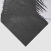 Zwarte witte paarden Beste vrienden ontkoppelen Tissuepapier (Detail)