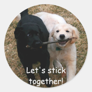 Zwarte & witte puppies "plakken aan elkaar" sticke ronde sticker
