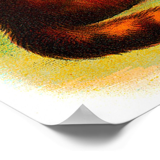  zwarte witte Sinaasappel Kittens 1 Poster (Hoek)