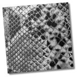 Zwarte witte slang tegeltje<br><div class="desc">Zwart Wit Reptiel Dier Snake Huidpatroon keramische tegel. Leuke faux dierenprint van zwarte en witte slangenhuid. Dit is een close-upfoto waar je bijna de 3D van de schalen kunt zien. Of je deze tegel wilt gebruiken als een klein onderzetter of trivet voor een drink of bord... of je wilt groot...</div>