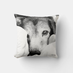 zwarte witte slaperige hond puppy shepherd pillow kussen