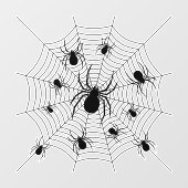 Zwarte Witte spinnen spinnenweb Halloween patroon Raamsticker (Vel)