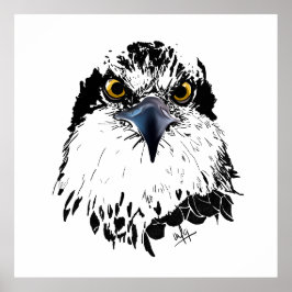 Zwarte witte tekening van een "koning van vogels" poster