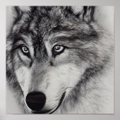 Zwarte witte tekening van een Wolf Poster (Voorkant)
