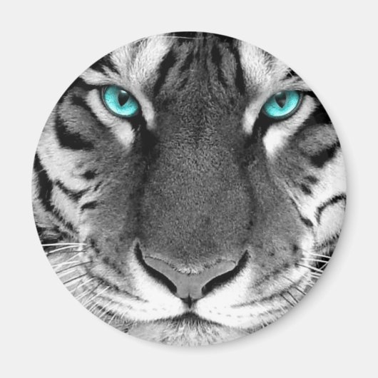 Zwarte witte tijger magneet (Voorkant)