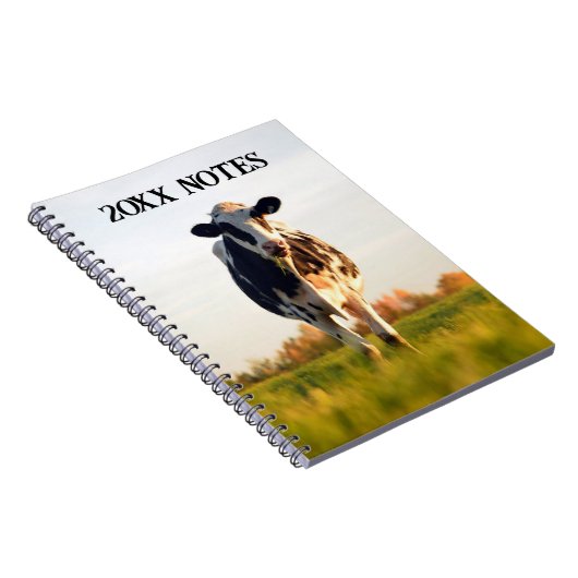 Zwarte, witte vaars in veld jaarlijkse notities notitieboek (Rechterzijde)