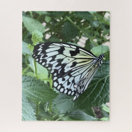 Zwarte witte vlinder legpuzzel