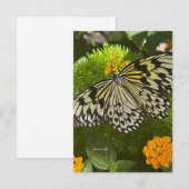  zwarte & witte vlinder notitiekaartje (Voorkant / Achterkant)