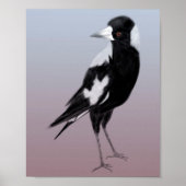 Zwarte witte vogel magnaat poster (Voorkant)
