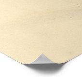 Zwarte & Witte Warbler - Amerikaanse vogels Poster (Hoek)