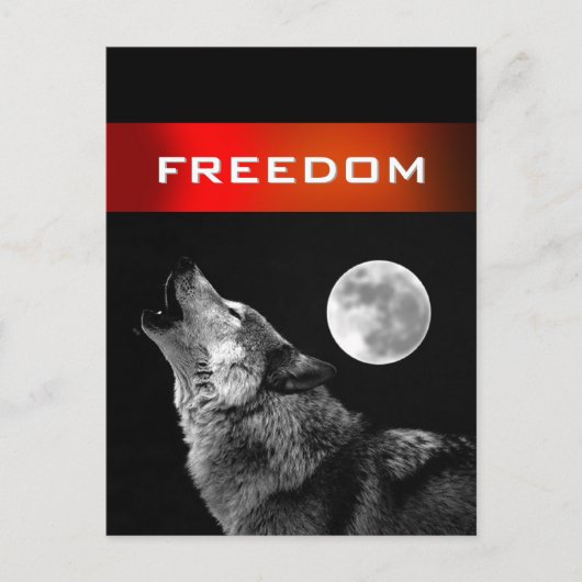 Zwarte witte wolf huilen bij Moon Freedom Briefkaa Briefkaart (Voorkant)