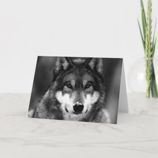 Zwarte & Witte Wolf Kaart (Voorkant)