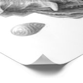 Zwarte Witte Zee schelpen Mooie decoratie Nice (Hoek)