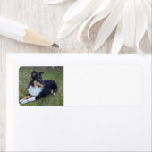 zwarte witte zout vol etiket (Insitu)