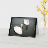 Zwarte Witte Zwanen Kaart (Gele Bloem)